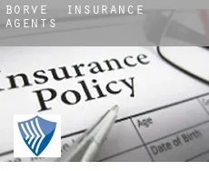 Borve  insurance agents