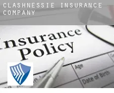 Clashnessie  insurance company