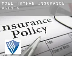 Moel-tryfan  insurance agents