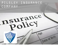 Pilsley  insurance company
