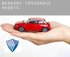Bargany  insurance agents