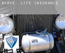Borve  life insurance