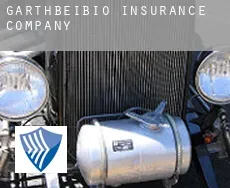 Garthbeibio  insurance company