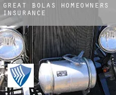 Great Bolas  homeowners insurance