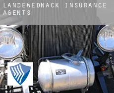 Landewednack  insurance agents