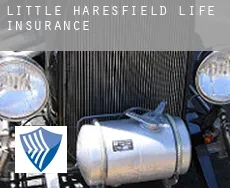 Little Haresfield  life insurance