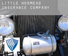 Little Hormead  insurance company