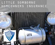 Little Somborne  homeowners insurance