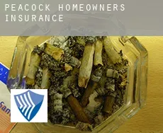 Peacock  homeowners insurance