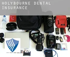 Holybourne  dental insurance