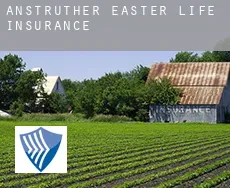 Anstruther Easter  life insurance