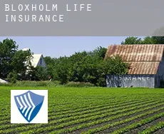Bloxholm  life insurance