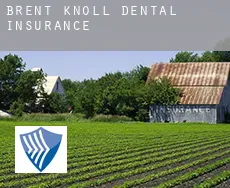 Brent Knoll  dental insurance