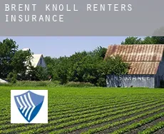 Brent Knoll  renters insurance