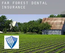 Far Forest  dental insurance