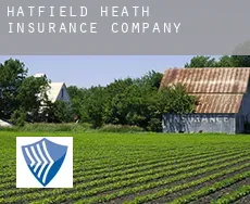 Hatfield Heath  insurance company