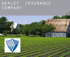 Healey  insurance company