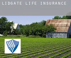 Lidgate  life insurance