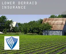 Lower Derraid  insurance