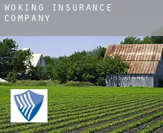 Woking  insurance company