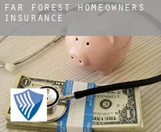 Far Forest homeowners insurance