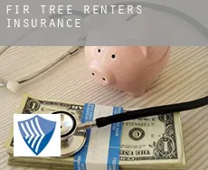 Fir Tree  renters insurance
