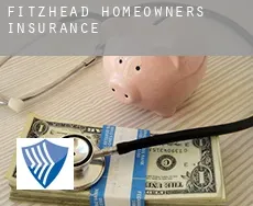 Fitzhead  homeowners insurance