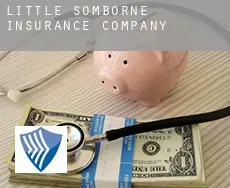 Little Somborne  insurance company