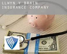 Llwyn-y-brain insurance company