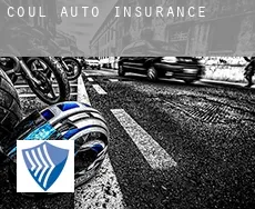 Coul  auto insurance