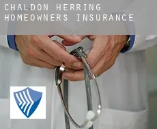 Chaldon Herring  homeowners insurance