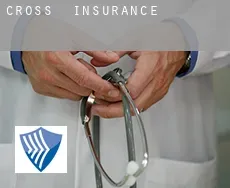 Cross  insurance