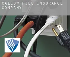 Callow Hill  insurance company