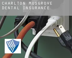 Charlton Musgrove  dental insurance