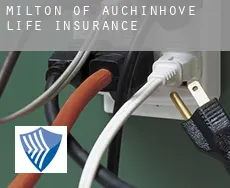 Milton of Auchinhove  life insurance
