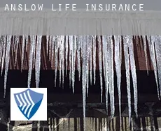 Anslow  life insurance