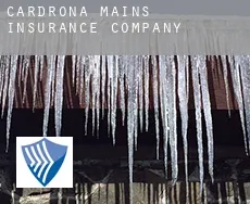 Cardrona Mains  insurance company