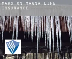 Marston Magna  life insurance