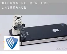 Bicknacre  renters insurance