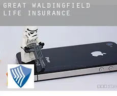 Great Waldingfield  life insurance