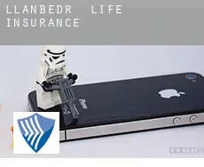 Llanbedr  life insurance