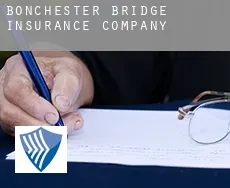 Bonchester Bridge  insurance company