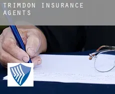 Trimdon  insurance agents
