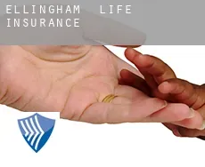 Ellingham  life insurance