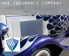 Hoe  insurance company