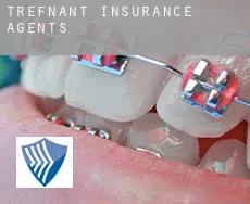 Trefnant  insurance agents