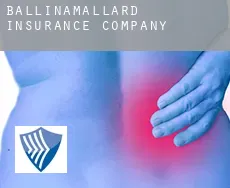 Ballinamallard  insurance company