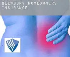 Blewbury homeowners insurance