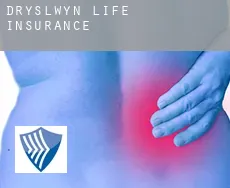 Dryslwyn  life insurance