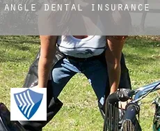 Angle  dental insurance
